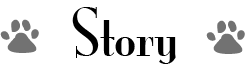 Story